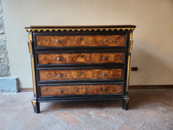 Cassettone antico lombardo epoca 700 - immagine 9