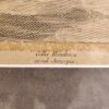 Stampa antica - immagine 6