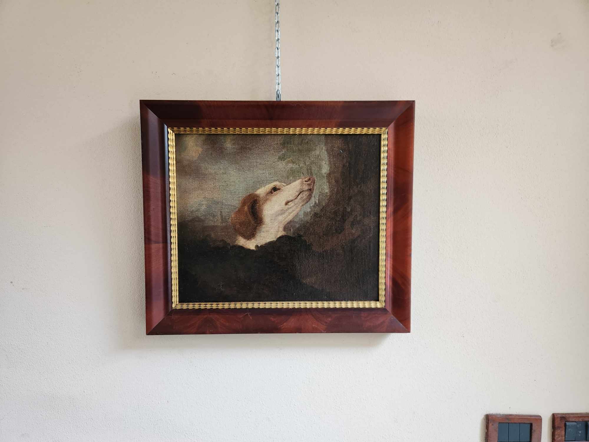 Dipinto antico raff cane - immagine 2
