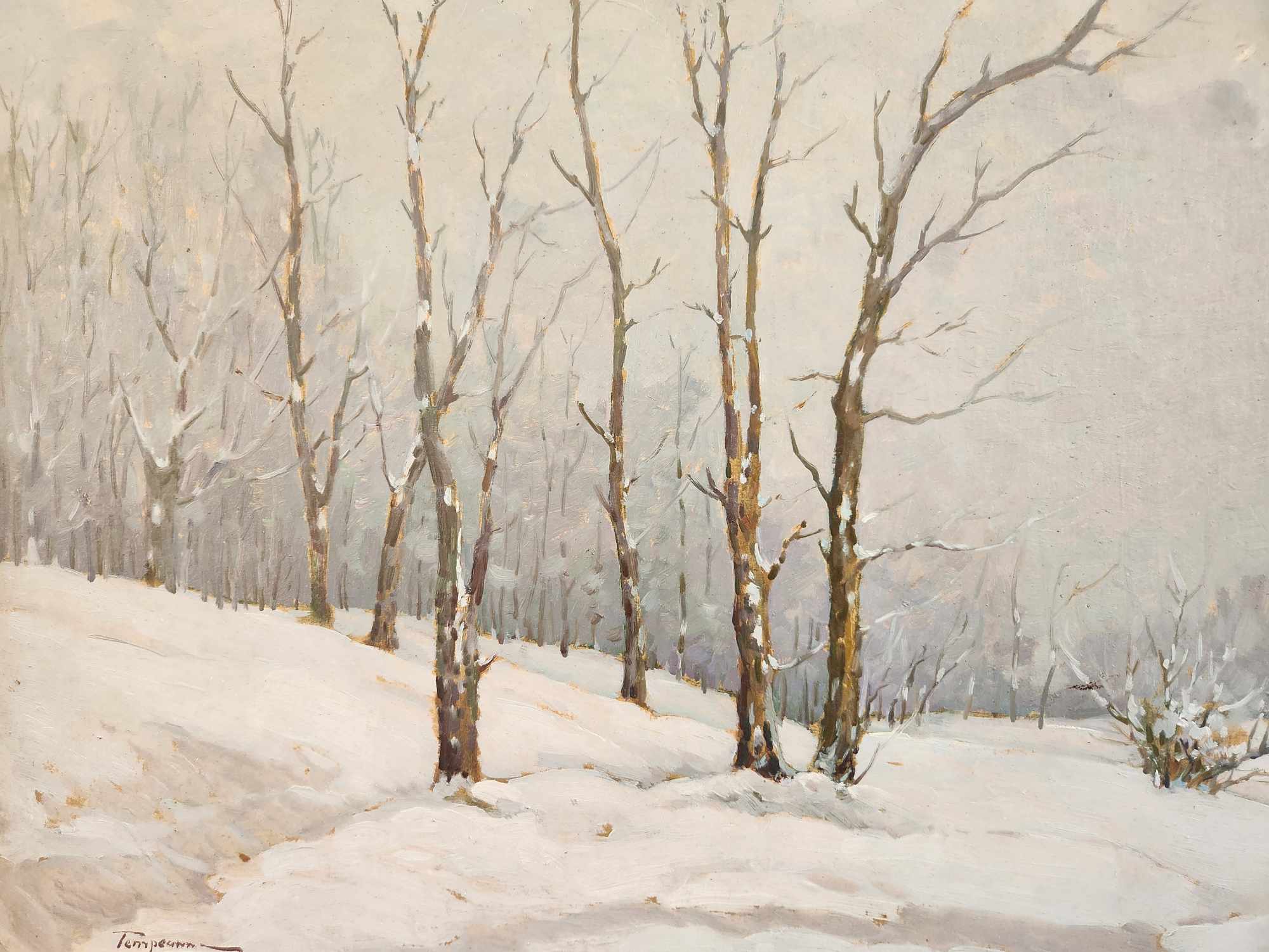 Dipinto epoca 900 nevicata - immagine 7